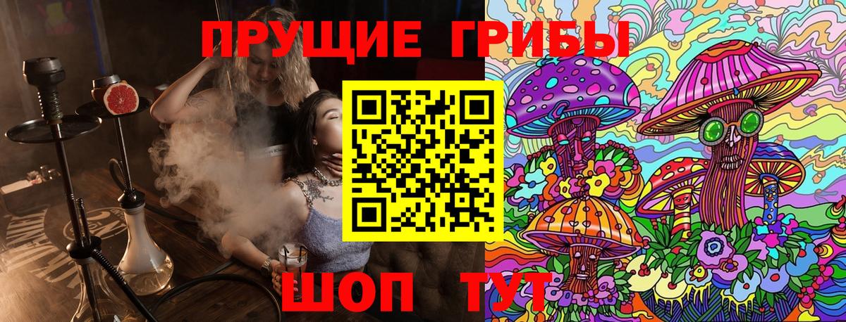 Галлюциногенные грибы Psilocybine cubensis  Вход с VPN  Луховицы 